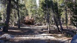 Dusy-Ershim Trail - Waypoint 20: Lakecamp Campground