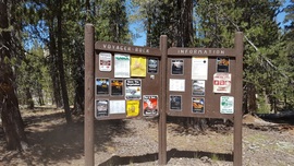 7S32 - Voyager Rock - Waypoint 5: Camp Ground