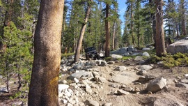 Dusy-Ershim Trail - Waypoint 8: Thompson Hill Top