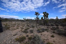 Pine Nut Road - Waypoint 4: Camping area