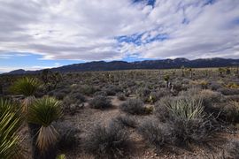 Pine Nut Road - Waypoint 5: Old Weather Station