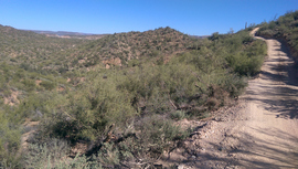 Old Black Canyon Highway - Waypoint 7: Narrow Hill Climbs