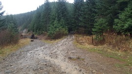 Evans Creek / Trail #519 - Waypoint 1: Trailhead