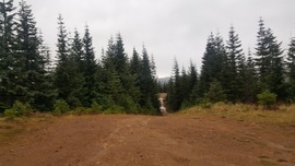 Evans Creek / Trail #519 - Waypoint 5: Evans Creek Ridgeline