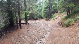 Evans Creek / Trail #519 - Waypoint 7: Stay to the Right/Bypass Obstacle