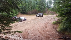 Evans Creek / Trail #519 - Waypoint 8: Playground Clearing