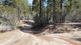 3N10 – John Bull - Waypoint 8: West End of Trail