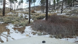 3N14 - Coxey Road - Waypoint 8: Pacific Crest Trail
