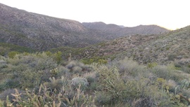Black Canyon OHV Trail - Waypoint 15: High point