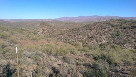 Little Pan Mine Road - Waypoint 7: Rutted Hill