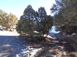 Rattlesnake - Waypoint 9: Sidewinder Exit Intersection