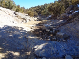 Rattlesnake - Waypoint 5: Rock Garden