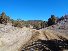 Rattlesnake - Waypoint 1: Trailhead