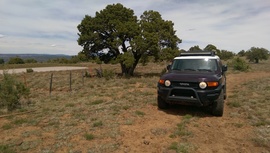 Jacks Canyon Road - Waypoint 9: Fence