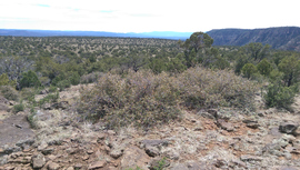 Jacks Canyon Road - Waypoint 8: Cul-da-End