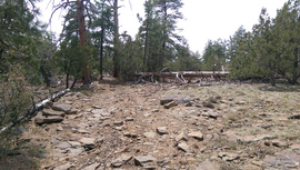 Jacks Canyon Road - Waypoint 5: Dead tree & sign