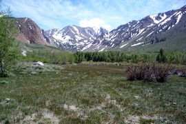 Laurel Lakes Road - Waypoint 4: Meadow