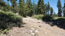 The Rubicon Trail - Waypoint 32: 14N40 - Stay South