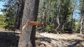The Rubicon Trail - Waypoint 5: Wentworth Springs Split - Stay East