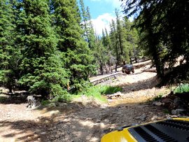 Red Cone - Waypoint 3: Creek Crossing