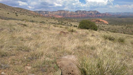 Casner Mountain Trail - Waypoint 9: Switch Back Bottom