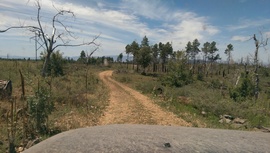 Casner Mountain Trail - Waypoint 1: Jerome Rd. / 538B & 6271 Intersection