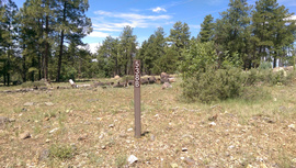 Jerome Road - Waypoint 8: FR 6345 Intersection