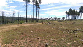 Jerome Road - Waypoint 7: 538 & 538B Intersection
