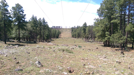 Jerome Road - Waypoint 4: Powerlines