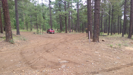 Fry Canyon Trail - Waypoint 4: 9598A West Intersection