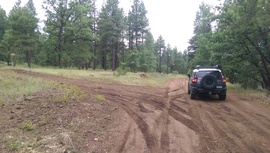 Fry Canyon Trail - Waypoint 3: 9498A East Intersection