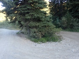 Lower Mill Canyon - Waypoint 8: Fork - Stay Left