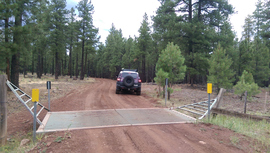 Fry Lake Trail - Waypoint 6: Power lines and Cattle Gard