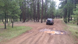 Fry Lake Trail - Waypoint 5: 536C Intersection