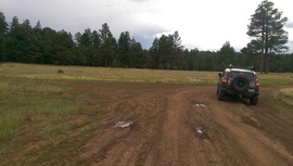 Fry Lake Trail - Waypoint 3: 536A Intersection