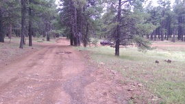 Fry Lake Trail - Waypoint 1: 536 & 535 Intersection