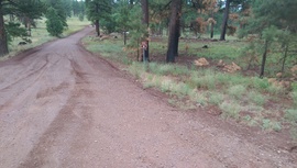 Woody Mountain Road - Waypoint 2: FR 532 Intersection