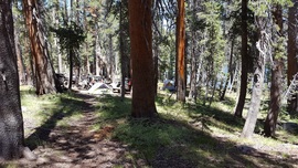 Dusy-Ershim Trail - Waypoint 16: Ershim Lake Campground 2