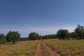 Rocky Sidewinder / 153A - Waypoint 6: Campsite Intersection