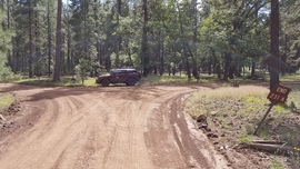 Fernow and Tram Tanks Trail - Waypoint 7: 538D Intersection