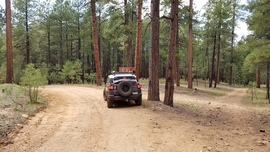 Fernow and Tram Tanks Trail - Waypoint 6: 231B Intersection