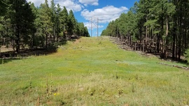 Fernow and Tram Tanks Trail - Waypoint 5: Power Lines