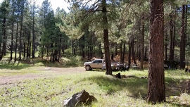 Fernow and Tram Tanks Trail - Waypoint 3: Parking Spot