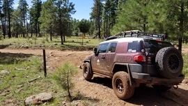 Turkey Butte Lookout Loop - Waypoint 7: FR 538 South Intersection
