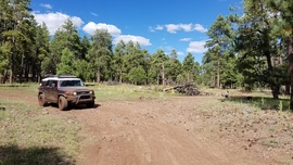 Turkey Butte Lookout Loop - Waypoint 5: FR 6233 Intersection