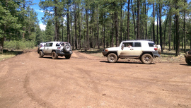 Turkey Butte Lookout Loop - Waypoint 2: FR 231A Intersection