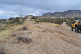 Charouleau Gap / FR# 736 - Waypoint 9: Dispersed Camp Spot
