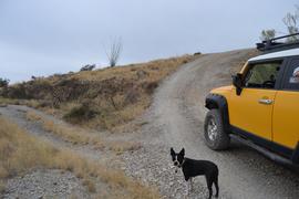 Charouleau Gap / FR# 736 - Waypoint 37: Unknown Road