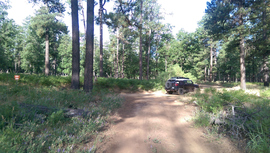 East Pocket Road - Waypoint 31: 9019M Camping Spur Intersection