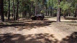 East Pocket Road - Waypoint 27: Camping Spur Intersection